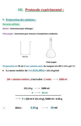 III. Protocole expérimental :
1) Préparation des solutions :
Verrerie utilisée :
-Bécher : instrument pour mélanger.
-Fiole jaugée : instrument pour mesurer à température ambiante.
Fiole jaugée
-Préparation de 50 ml d’une solution mère du tampon tris-HCl :1M à pH 7,5 :
La masse molaire du Tris (C4H11NO3) = 121.14 g/mol
1M = solution molaire ; c’est-à-dire : 1 mole 1000 ml
121.14 g 1000 ml
X 50 ml
X = (50 ml X 121.14 g) /1000 ml = 6.05 g
 Alors : 6.05 g 50 ml
 