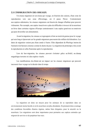 Chapitre 5 : Amélioration par la stratégie d’immigration
63S.BENHMIRA S.MEJDAOUI
2.3 L’immigration des oiseaux
Un oiseau migrateur est un oiseau qui voyage, en fonction des saisons, d'une zone de
reproduction vers une zone d'hivernage, où il passe l'hiver. Contrairement
aux espèces sédentaires, les oiseaux migrateurs ont besoin de changer d'habitat pour pouvoir
s'alimenter. Par exemple, une espèce insectivore a plus de difficultés à trouver de la nourriture
en hiver dans certaines régions d'Europe contrairement à une espèce granivore ou omnivore
qui peut diversifier son alimentation.
Avant la migration, les oiseaux se regroupent et font un stock de graisse pour le voyage
qui sera long et éprouvant car les grands migrateurs parcourent des milliers de kilomètres. Les
dates de migration varient peu d'une année à l'autre. Elles dépendent de l'horloge interne de
l'animal et de facteurs externes comme la durée du jour. La migration du printemps a lieu avant
la reproduction et celle d'automne après la reproduction.
Lors de leur migration, les oiseaux peuvent s'orienter grâce au Soleil, au champ
magnétique terrestre et à des repères visuels.
Les modifications du climat ont un impact sur les oiseaux migrateurs qui peuvent
raccourcir leur voyage ou le décaler dans le temps
La migration est donc un moyen pour les animaux de se reproduire dans un
environnement moins hostile et où la nourriture est plus abondante. Ils prennent donc avantage
des conditions favorables d'autres régions, même bien éloignées, pour la sécurité ou la
nourriture. Les migrations sont donc importantes pour permettre aux espèces animales qui
migrent de survivre et de perpétuer leur race.
 