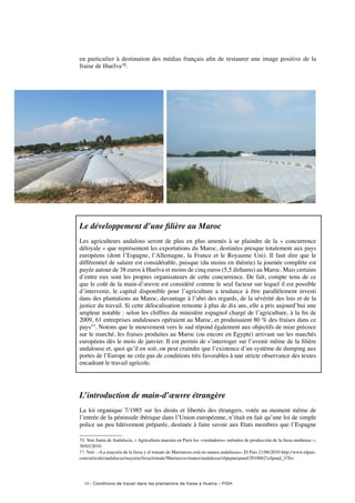 10 / Conditions de travail dans les plantations de fraise à Huelva – FIDH
en particulier à destination des médias français afin de restaurer une image positive de la
fraise de Huelva10.
Le développement d’une filière au Maroc
Les agriculteurs andalous seront de plus en plus amenés à se plaindre de la « concurrence
déloyale » que représentent les exportations du Maroc, destinées presque totalement aux pays
européens (dont l’Espagne, l’Allemagne, la France et le Royaume Uni). Il faut dire que le
différentiel de salaire est considérable, puisque (du moins en théorie) la journée complète est
payée autour de 38 euros à Huelva et moins de cinq euros (5,5 dirhams) au Maroc. Mais certains
d’entre eux sont les propres organisateurs de cette concurrence. De fait, compte tenu de ce
que le coût de la main-d’œuvre est considéré comme le seul facteur sur lequel il est possible
d’intervenir, le capital disponible pour l’agriculture a tendance à être parallèlement investi
dans des plantations au Maroc, davantage à l’abri des regards, de la sévérité des lois et de la
justice du travail. Si cette délocalisation remonte à plus de dix ans, elle a pris aujourd’hui une
ampleur notable : selon les chiffres du ministère espagnol chargé de l’agriculture, à la fin de
2009, 61 entreprises andalouses opéraient au Maroc, et produisaient 80 % des fraises dans ce
pays11. Notons que le mouvement vers le sud répond également aux objectifs de mise précoce
sur le marché, les fraises produites au Maroc (ou encore en Egypte) arrivant sur les marchés
européens dès le mois de janvier. Il est permis de s’interroger sur l’avenir même de la filière
andalouse et, quoi qu’il en soit, on peut craindre que l’existence d’un système de dumping aux
portes de l’Europe ne crée pas de conditions très favorables à une stricte observance des textes
encadrant le travail agricole.
L’introduction de main-d’œuvre étrangère
La loi organique 7/1985 sur les droits et libertés des étrangers, votée au moment même de
l’entrée de la péninsule ibérique dans l’Union européenne, n’était en fait qu’une loi de simple
police un peu hâtivement préparée, destinée à faire savoir aux Etats membres que l’Espagne
10. Voir Junta de Andalucia, « Agricultura muestra en París los «verdaderos» métodos de producción de la fresa onubense »,
30/03/2010.
11. Voir : «La mayoría de la fresa y el tomate de Marruecos está en manos andaluzas», El Pais 21/06/2010 http://www.elpais.
com/articulo/andalucia/mayoria/fresa/tomate/Marruecos/manos/andaluzas/elpepuespand/20100621elpand_3/Tes
 
