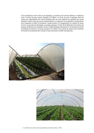 14 / Conditions de travail dans les plantations de fraise à Huelva – FIDH
où les producteurs sont en face d’un oligopole, en sachant qu’ils doivent affronter, en début de
cycle, l’avance de pays comme l’Egypte et le Maroc, et en fin de cycle, la présence dans les
rayons des supermarchés des fraises produites plus au nord. Ignorant les quantités qui seront
produites comme celles qui seront commercialisées, et à quel prix, les coopératives d’agriculteurs
sont composées d’unités où dominent l’improvisation et le pragmatisme en matière de main-
d’œuvre, et qui chacune développe ses propres pratiques. Si bien sûr la fidélisation d’ouvrières qui
donnent satisfaction est souhaitée, aucune véritable politique paternaliste n’est possible devant les
incertitudes du marché. C’est pour cela que l’on a affaire à un système de main-d’œuvre hybride,
où la part du recrutement hors contrat est nécessairement variable mais présente.
 