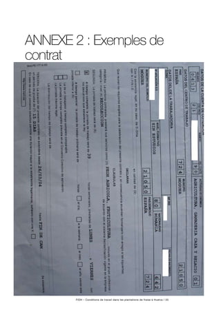 FIDH – Conditions de travail dans les plantations de fraise à Huelva / 33
ANNEXE 2 : Exemples de
contrat
 