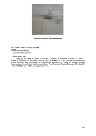 198
Infection artificielle des phlébotomes
Les chiffres clés du service en 2018
2000 services réalisés
1 publication internationale
Publications 2018
Fraihi, W., W. Fares, P. Perrin, F. Dorkeld, D. Sereno, W. Barhoumi, I. Sbissi, S. Cherni, I.
Chelbi, R. Durvasula, M. Ramalho-Ortigao, M. Gtari, E. Zhioua. 2017. An integrated overview of the
midgut bacterial flora composition of Phlebotomus perniciosus, a vector of zoonotic visceral
leishmaniasis in the Western Mediterranean Basin. PLoS Neglected Tropical Diseases. 2018 Mar 29;
11(3):e0005484. doi: 10.1371/journal.pntd.0005484.
 