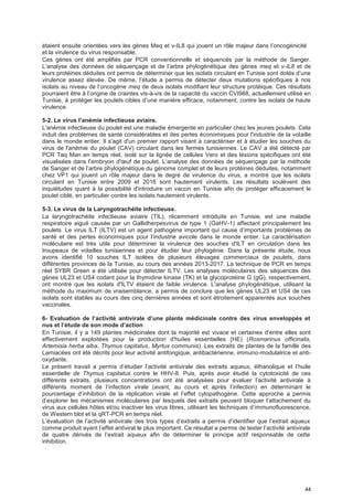 44
étaient ensuite orientées vers les gènes Meq et v-IL8 qui jouent un rôle majeur dans l’oncogénicité
et la virulence du virus responsable.
Ces gènes ont été amplifiés par PCR conventionnelle et séquencés par la méthode de Sanger.
L’analyse des données de séquençage et de l’arbre phylogénétique des gènes meq et v-IL8 et de
leurs protéines déduites ont permis de déterminer que les isolats circulant en Tunisie sont dotés d’une
virulence assez élevée. De même, l’étude a permis de détecter deux mutations spécifiques à nos
isolats au niveau de l’oncogène meq de deux isolats modifiant leur structure protéique. Ces résultats
pourraient être à l’origine de craintes vis-à-vis de la capacité du vaccin CVI988, actuellement utilisé en
Tunisie, à protéger les poulets cibles d’une manière efficace, notamment, contre les isolats de haute
virulence.
5-2. Le virus I’anémie infectieuse aviaire.
L'anémie infectieuse du poulet est une maladie émergente en particulier chez les jeunes poulets. Cela
induit des problèmes de santé considérables et des pertes économiques pour l'industrie de la volaille
dans le monde entier. Il s'agit d'un premier rapport visant à caractériser et à étudier les souches du
virus de l'anémie du poulet (CAV) circulant dans les fermes tunisiennes. Le CAV a été détecté par
PCR Taq Man en temps réel, isolé sur la lignée de cellules Vero et des lésions spécifiques ont été
visualisées dans l'embryon d'œuf de poulet. L’analyse des données de séquençage par la méthode
de Sanger et de l’arbre phylogénétique du génome complet et de leurs protéines déduites, notamment
chez VP1 qui jouent un rôle majeur dans le degré de virulence du virus, a montré que les isolats
circulant en Tunisie entre 2009 et 2016 sont hautement virulents. Les résultats soulèvent des
inquiétudes quant à la possibilité d'introduire un vaccin en Tunisie afin de protéger efficacement le
poulet ciblé, en particulier contre les isolats hautement virulents.
5-3. Le virus de la Laryngotrachéite infectieuse.
La laryngotrachéite infectieuse aviaire (TIL), récemment introduite en Tunisie, est une maladie
respiratoire aiguë causée par un Gallidherpesvirus de type 1 (GaHV-1) affectant principalement les
poulets. Le virus ILT (ILTV) est un agent pathogène important qui cause d’importants problèmes de
santé et des pertes économiques pour l’industrie avicole dans le monde entier. La caractérisation
moléculaire est très utile pour déterminer la virulence des souches d'ILT en circulation dans les
troupeaux de volailles tunisiennes et pour étudier leur phylogénie. Dans la présente étude, nous
avons identifié 10 souches ILT isolées de plusieurs élevages commerciaux de poulets, dans
différentes provinces de la Tunisie, au cours des années 2013-2017. La technique de PCR en temps
réel SYBR Green a été utilisée pour détecter ILTV. Les analyses moléculaires des séquences des
gènes UL23 et US4 codant pour la thymidine kinase (TK) et la glycoprotéine G (gG), respectivement,
ont montré que les isolats d'ILTV étaient de faible virulence. L'analyse phylogénétique, utilisant la
méthode du maximum de vraisemblance, a permis de conclure que les gènes UL23 et US4 de ces
isolats sont stables au cours des cinq dernières années et sont étroitement apparentés aux souches
vaccinales.
6- EvaIuation de I’activité antiviraIe d’une pIante médicinaIe contre des virus enveIoppés et
nus et I’étude de son mode d’action
En Tunisie, il y a 149 plantes médicinales dont la majorité est vivace et certaines d'entre elles sont
effectivement exploitées pour la production d'huiles essentielles (HE) (Rosmarinus officinalis,
Artemisia herba alba, Thymus capitatus, Myrtus communis). Les extraits de plantes de la famille des
Lamiacées ont été décrits pour leur activité antifongique, antibactérienne, immuno-modulatrice et anti-
oxydante.
Le présent travail a permis d’étudier l’activité antivirale des extraits aqueux, éthanolique et l’huile
essentielle de Thymus capitatus contre le HHV-8. Puis, après avoir étudié la cytotoxicité de ces
différents extraits, plusieurs concentrations ont été analysées pour évaluer l’activité antivirale à
différents moment de l’infection virale (avant, au cours et après l’infection) en déterminant le
pourcentage d’inhibition de la réplication virale et l’effet cytopathogène. Cette approche a permis
d’explorer les mécanismes moléculaires par lesquels des extraits peuvent bloquer l’attachement du
virus aux cellules hôtes et/ou inactiver les virus libres, utilisant les techniques d’immunofluorescence,
de Western blot et la qRT-PCR en temps réel.
L’évaluation de l’activité antivirale des trois types d’extraits a permis d’identifier que l’extrait aqueux
comme produit ayant l’effet antiviral le plus important. Ce résultat a permis de tester l’activité antivirale
de quatre dérivés de l’extrait aqueux afin de déterminer le principe actif responsable de cette
inhibition.
 
