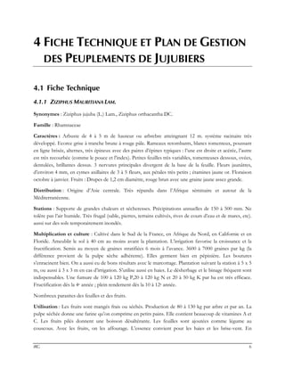 IRG 6
4 FICHE TECHNIQUE ET PLAN DE GESTION
DES PEUPLEMENTS DE JUJUBIERS
4.1 Fiche Technique
4.1.1 ZIZIPHUS MAURITIANA LAM.
Synonymes : Ziziphus jujuba (L.) Lam., Ziziphus orthacantha DC.
Famille : Rhamnaceae
Caractères : Arbuste de 4 à 5 m de hauteur ou arbrebre atteingnant 12 m. système racinaire très
développé. Ecorce grise à tranche brune à rouge pâle. Rameaux retombants, blancs tomenteux, poussant
en ligne brisée, alternes, très épineux avec des paires d’épines typiques : l’une est droite et acérée, l’autre
est très recourbée (comme le pouce et l’index). Petites feuilles très variables, tomenteuses dessous, ovées,
dentulées, brillantes dessus. 3 nervures principales divergent de la base de la feuille. Fleurs jaunâtres,
d’environ 4 mm, en cymes axillaires de 3 à 5 fleurs, aux pétales très petits ; étamines jaune or. Floraison
octobre à janvier. Fruits : Drupes de 1,2 cm diamètre, rouge brun avec une graine jaune assez grande.
Distribution : Origine d’Asie centrale. Très répandu dans l’Afrique séminaire et autour de la
Méditerranéenne.
Stations : Supporte de grandes chaleurs et sécheresses. Précipitations annuelles de 150 à 500 mm. Ne
tolère pas l’air humide. Très frugal (sable, pierres, terrains cultivés, rives de cours d’eau et de mares, etc).
aussi sur des sols temporairement inondés.
Multiplication et culture : Cultivé dans le Sud de la France, en Afrique du Nord, en Californie et en
Floride. Ameublir le sol à 40 cm au moins avant la plantation. L’irrigation favorise la croissance et la
fructification. Semis au moyen de graines stratifiées 6 mois à l’avance. 3600 à 7000 graines par kg (la
différence provient de la pulpe sèche adhérente). Elles germent bien en pépinière. Les boutures
s’enracinent bien. On a aussi eu de bons résultats avec le marcottage. Plantation suivant la station à 5 x 5
m, ou aussi à 3 x 3 m en cas d’irrigation. S’utilise aussi en haies. Le désherbage et le binage fréquent sont
indispensables. Une fumure de 100 à 120 kg P,20 à 120 kg N et 20 à 50 kg K par ha est très efficace.
Fructification dès la 4e année ; plein rendement dès la 10 à 12e année.
Nombreux parasites des feuilles et des fruits.
Utilisation : Les fruits sont mangés frais ou séchés. Production de 80 à 130 kg par arbre et par an. La
pulpe séchée donne une farine qu’on comprime en petits pains. Elle contient beaucoup de vitamines A et
C. Les fruits pilés donnent une boisson désaltérante. Les feuilles sont ajoutées comme légume au
couscous. Avec les fruits, on les affourage. L’essence convient pour les haies et les brise-vent. En
 