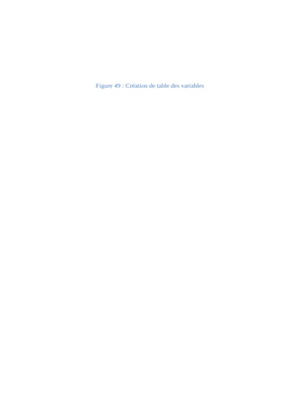 Figure 49 : Création de table des variables 
 