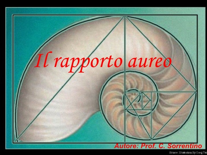 Il rapporto aureo in arte, storia e natura Sezione aurea arte