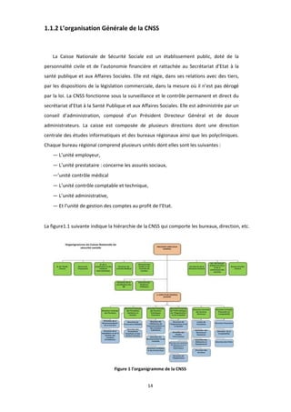 14
1.1.2 L’organisation Générale de la CNSS
La Caisse Nationale de Sécurité Sociale est un établissement public, doté de la
personnalité civile et de l’autonomie financière et rattachée au Secrétariat d’Etat à la
santé publique et aux Affaires Sociales. Elle est régie, dans ses relations avec des tiers,
par les dispositions de la législation commerciale, dans la mesure où il n’est pas dérogé
par la loi. La CNSS fonctionne sous la surveillance et le contrôle permanent et direct du
secrétariat d’Etat à la Santé Publique et aux Affaires Sociales. Elle est administrée par un
conseil d’administration, composé d’un Président Directeur Général et de douze
administrateurs. La caisse est composée de plusieurs directions dont une direction
centrale des études informatiques et des bureaux régionaux ainsi que les polycliniques.
Chaque bureau régional comprend plusieurs unités dont elles sont les suivantes :
— L’unité employeur,
— L’unité prestataire : concerne les assurés sociaux,
—’unité contrôle médical
— L’unité contrôle comptable et technique,
— L’unité administrative,
— Et l’unité de gestion des comptes au profit de l’Etat.
La figure1.1 suivante indique la hiérarchie de la CNSS qui comporte les bureaux, direction, etc.
Figure 1 l’organigramme de la CNSS
 