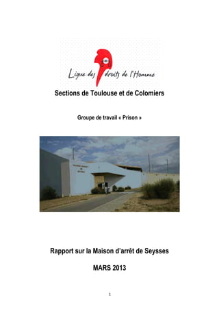 Sections de Toulouse et de Colomiers


         Groupe de travail « Prison »




Rapport sur la Maison d’arrêt de Seysses

               MARS 2013


                      1
 