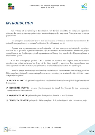 Mise en place d’une plateforme décisionnelle SAP BI
                                                  autour de SAP MM




INTRODUCTION
       Les systèmes et les technologies d'information sont devenus aujourd'hui les socles des organismes
modernes. Ils touchent, sans exception, toutes les activités et tous les secteurs de l'entreprise, tant en interne
qu'en externe.

         Les entreprises actuelles ont trouvés dans ces nouveaux systèmes de traitement de l'information des
outils efficaces pour innover en termes d'amélioration des méthodes de travail.

         Dans ce sens, un nouveau contexte professionnel a vu le jour, un contexte qui valorise les organismes
aussi bien par la qualité de la gestion des marchés, que par la richesse de leurs systèmes d'informations, et plus
particulièrement par l'exploitation optimale de ces derniers, réduisant ainsi les coûts, les délais et améliorant la
réactivité et la qualité.

        C'est dans cette optique que la LYDEC a exprimé son besoin de mise en place d’une plateforme du
reporting : une optique qui a pour but de prévoir les futurs objectifs et les moyens dont on aura besoin pour
cerner également les défis du marché, les pressions de la concurrence et l’évolution des technologies.

        Ainsi ce présent mémoire qui est le fruit et l’illustration du travail effectué dans ce stage, relate les
différentes phases ainsi que les moyens auxquels nous avons eu recours pour atteindre les objectifs fixés. , et ceci
en 4 principales parties :

LA PREMIERE PARTIE présente l’organisme d’accueil et introduit le contexte général du projet et l’étude
de ce dernier.

LA DEUXIEME PARTIE présente l’environnement de travail, les Concept de base                            comprenant
l’architecture et les fonctionnalités.

LA TROISIEME PARTIE présente la phase d’analyse fonctionnelle et la modélisation.

LA QUATRIEME PARTIE présente les différentes phases de la réalisation et la mise en œuvre du projet.




                  SALAH EDDINE BENTALBA           | STAGE DE FIN D’ETUDES

                                                                                                                 12/79
 