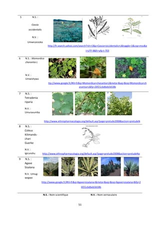 5             N.S. :  

                  Cassia 
             occidentalis 

                  N.V. : 
                                                                                                                                               
             Umwicanzoka 
                                  http://fr.search.yahoo.com/search?rd=r1&p=Cassia+occidentalis+L&toggle=1&cop=mss&e
                                                                               i=UTF‐8&fr=yfp‐t‐703 

6        N.S. : Momordica 
         charantia L 

          

         N.V. : 
                                                                                                                                                   
         Umwishywa 
                                  ttp://www.google.fr/#hl=fr&q=Momordica+charantia+L&meta=&aq=&oq=Momordica+ch
                                                             arantia+L&fp=26f21cbdbeb3d18b 

7       N.S. : 
       Tetradenia 
       riparia 

         N.V. : 
         Umuravumba 
                                                                                                                                       
 
                              http://www.ethnopharmacologia.org/default.asp?page=prelude2008&action=preludeN
8       N.S. : 
       Coleus 
       Kilimands‐
       chari 
       Guerke 
                                                                                                  
         N.V. : 
         Igicunshu           http://www.ethnopharmacologia.org/default.asp?page=prelude2008&action=preludeNo

9       N.S. : 
       Agave 
       Sisalana 

         N.V. :Umug‐
                                                                                                                                           
         wegwe 
                             http://www.google.fr/#hl=fr&q=Agave+sisalana+&meta=&aq=&oq=Agave+sisalana+&fp=2
               
                                                                           6f21cbdbeb3d18b 

                              N.S. : Nom scientifique                              N.V. : Nom vernaculaire 


                                                                      51 

 
 