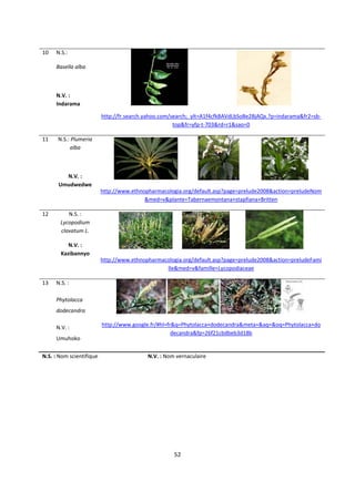  

10    N.S.:  

      Basella alba  

       

      N.V. : 
      Indarama                                                                                      

                            http://fr.search.yahoo.com/search;_ylt=A1f4cfkBAVdLbSoBe2BjAQx.?p=indarama&fr2=sb‐
                                                        top&fr=yfp‐t‐703&rd=r1&sao=0 

11        N.S.: Plumeria 
               alba 

                  

            N.V. :                                                                                              
          Umudwedwe 
                            http://www.ethnopharmacologia.org/default.asp?page=prelude2008&action=preludeNom
                                            &med=v&plante=Tabernaemontana+stapfiana+Britten 

12            N.S. : 
           Lycopodium 
           clavatum L. 

              N.V. :                                                                                    
           Kazibannyo 
                            http://www.ethnopharmacologia.org/default.asp?page=prelude2008&action=preludeFami
                                                   lle&med=v&famille=Lycopodiaceae 

13    N.S. : 

      Phytolacca 
      dodecandra                                                                                            

      N.V. :                http://www.google.fr/#hl=fr&q=Phytolacca+dodecandra&meta=&aq=&oq=Phytolacca+do
                                                       decandra&fp=26f21cbdbeb3d18b 
      Umuhoko 

N.S. : Nom scientifique                      N.V. : Nom vernaculaire 

 




                                                            52 

 
 
