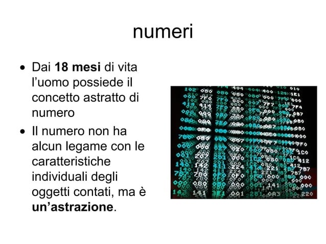 rappresentazione dei numeri | PPT