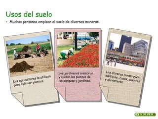 Usos del suelo
Los agricultores lo utilizan
para cultivar plantas.
Los jardineros siembran
y cuidan las plantas de
los parques y jardines.
Los obreros construyen
edificios, casas, puentes
y carreteras.
• Muchas personas emplean el suelo de diversas maneras.
 