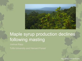 Maple syrup production declines
following masting
Joshua Rapp
Tufts University and Harvard Forest

rapp@fas.harvard.edu

 