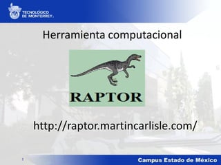 Herramienta computacional 
1http://raptor.martincarlisle.com/  