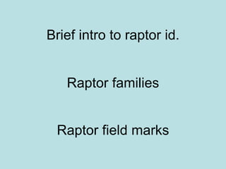 Brief intro to raptor id. Raptor families Raptor field marks 