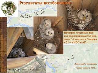 Результаты нестбоксинга
Нестбоксинг

Проверка гнездовых ящиков для длиннохвостой неясыти: 35 занятых в Самарии
и 31 – в НСО и АК.

А тут ещё и построили
11 штук новых в 2013 г.
Фотки А. Левашкина и Р. Бахтина

 
