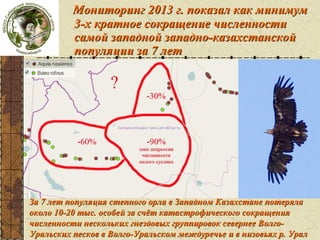 Жопа со степнем

Мониторинг 2013 г. показал как минимум
3-х кратное сокращение численности
самой западной западно-казахстанской
популяции за 7 лет

За 7 лет популяция степного орла в Западном Казахстане потеряла
около 10-20 тыс. особей за счёт катастрофического сокращения
численности нескольких гнездовых группировок севернее ВолгоУральских песков в Волго-Уральском междуречье и в низовьях р. Урал

 