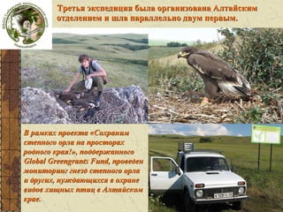 Третья экспедиция была организована Алтайским
отделением и шла параллельно двум первым.

В рамках проекта «Сохраним
степного орла на просторах
родного края!», поддержанного
Global Greengrants Fund, проведен
мониторинг гнезд степного орла
и других, нуждающихся в охране
видов хищных птиц в Алтайском
крае.

 