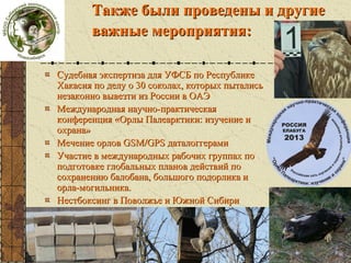 активности

Также были проведены и другие
важные мероприятия:
Судебная экспертиза для УФСБ по Республике
Хакасия по делу о 30 соколах, которых пытались
незаконно вывезти из России в ОАЭ
Международная научно-практическая
конференция «Орлы Палеарктики: изучение и
охрана»
Мечение орлов GSM/GPS даталоггерами
Участие в международных рабочих группах по
подготовке глобальных планов действий по
сохранению балобана, большого подорлика и
орла-могильника.
Нестбоксинг в Поволжье и Южной Сибири

 