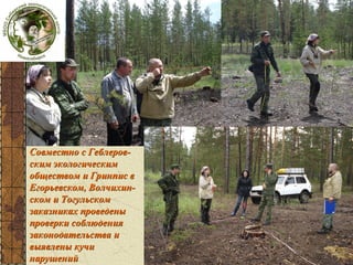 Совместно с Геблеровским экологическим
обществом и Гринпис в
Егорьевском, Волчихинском и Тогульском
заказниках проведены
проверки соблюдения
законодательства и
выявлены кучи
нарушений

 