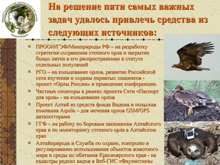 спонсоры

На решение пяти самых важных
задач удалось привлечь средства из
следующих источников:

ПРООН/ГЭФ/Минприроды РФ – на разработку
стратегии сохранения степного орла и закрытие
белых пятен в его распространении и статусе
отдельных популяций
РГО – на кольцевание орлов, развитие Российской
сети изучения и охраны пернатых хищников проект «Орлы России» и проведение конференции.
Частные спонсоры в рамках проекта Сети «Паспорт
для орла» - на кольцевание орлов
Проект Алтай из средств фонда Видена и польская
компания Aquila – для мечения орлов GSM/GPS
даталоггерами
ГГФ – на работу по боровым заказникам Алтайского
края и по мониторингу степного орла в Алтайском
крае
Алтайприрода и Служба по охране, контролю и
регулированию использования объектов животного
мира и среды их обитания Красноярского края - на
кадастры редких видов в Веб-ГИС «Фаунистика»

 