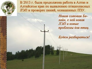 В 2013 г. была продолжена работа в Алтае и
Алтайском крае по выявлению птицеопасных
ЛЭП и проверке линий, оснащенных ПЗУ.
ЛЭП

Новая сотовая Билайн, к ней новая
ЛЭП и новые
проблемы для птиц.
Будем разбираться!

 