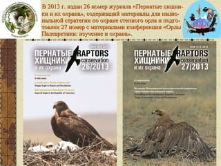 Журна
л

В 2013 г. издан 26 номер журнала «Пернатые хищники и их охрана», содержащий материалы для национальной стратегии по охране степного орла и подготовлен 27 номер с материалами конференции «Орлы
Палеарктики: изучение и охрана».

 