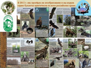 В 2013 г. нас пропёрло на экообразование и мы издали
серию буклетов практически по всем российским орлам.
Печатная продукция

 