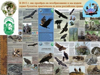 В 2013 г. нас пропёрло на экообразование и мы издали
серию буклетов практически по всем российским орлам.

 