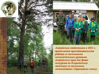 Алтайским отделением в 2013 г.
продолжена просветительская
работа со школьными
экологическими группами
Алтайского края (на фото
экскурсия по Егорьевскому
заказнику со школьным
лесничеством «Хранители леса»)

 