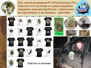 Бутофория

Для членов развиваемой Сибэкоцентром Российской сети изучения и охраны пернатых
хищников заказаны футболки с прикольными картинками, а на машины - наклейки.

Ещё есть в наличии

 