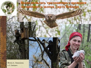 Весна началась традиционно с проверки
на прочность шлема Дарта Вейдера

Самария

Фотки А. Левашкина
и Л. Зиневич

 