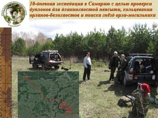 10-дневная экспедиция в Самарию с целью проверки
дуплонов для длиннохвостой неясыти, кольцевания
орланов-белохвостов и поиска гнёзд орла-могильника

Самария

 