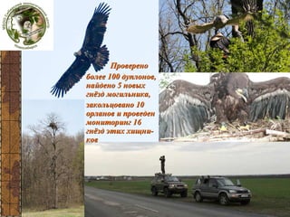 Самария

Проверено
более 100 дуплонов,
найдено 5 новых
гнёзд могильника,
закольцовано 10
орланов и проведен
мониторинг 16
гнёзд этих хищников

 