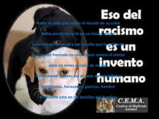 Nadie te pide que salves el mundo de su color

     todos perdimos la fe en un futuro mejor

esta vida es tan cruel y tan canalla que lo entiendo

a veces ser honrado es como mear contra el viento

         pero no mires el color de mi piel

 si realmente quieres ver el color de mis billetes

     terremotos, huracanes, guerras, hambre

    el racismo esta en los bolsillos del hombre
 