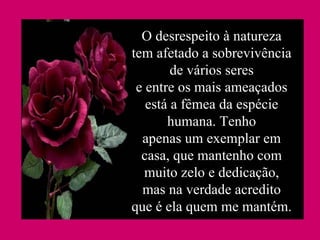 *Salvem as Mulheres * *Salvem as Mulheres * O desrespeito à natureza tem afetado a sobrevivência de vários seres e entre os mais ameaçados está a fêmea da espécie humana. Tenho apenas um exemplar em casa, que mantenho com muito zelo e dedicação, mas na verdade acredito que é ela quem me mantém. 
