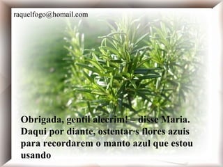 Obrigada, gentil alecrim! - disse Maria. Daqui por diante, ostentarás flores azuis para recordarem o manto azul que estou usando.  Obrigada, gentil alecrim! – disse Maria. Daqui por diante, ostentarás flores azuis para recordarem o manto azul que estou usando [email_address] 