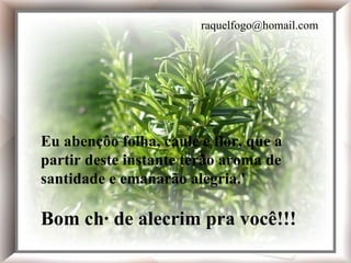 Eu abençôo folha, caule e flor, que a partir deste instante terão aroma de santidade e emanarão alegria.' Bom chá de alecrim pra você!!! Eu abençôo folha, caule e flor, que a partir deste instante terão aroma de santidade e emanarão alegria.' Bom chá de alecrim pra você!!! [email_address] 
