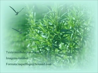 Texto recebido por e- mail Imagens-internet Formata:raquelfogo@hotmail.com 