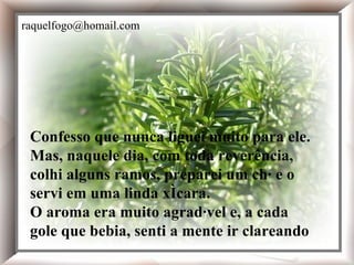 Confesso que nunca liguei muito para ele. Mas, naquele dia, com toda reverência, colhi alguns ramos, preparei um chá e o servi em uma linda xícara. O aroma era muito agradável e, a cada gole que bebia, senti a mente ir clareando  Confesso que nunca liguei muito para ele. Mas, naquele dia, com toda reverência, colhi alguns ramos, preparei um chá e o servi em uma linda xícara. O aroma era muito agradável e, a cada gole que bebia, senti a mente ir clareando   [email_address] 