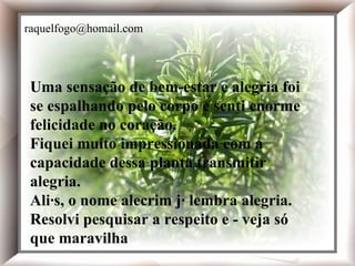 Uma sensação de bem-estar e alegria foi se espalhando pelo corpo e senti enorme felicidade no coração. Fiquei muito impressionada com a capacidade dessa planta transmitir alegria. Aliás, o nome alecrim já lembra alegria. Resolvi pesquisar a respeito e - veja só que maravilha  Uma sensação de bem-estar e alegria foi se espalhando pelo corpo e senti enorme felicidade no coração. Fiquei muito impressionada com a capacidade dessa planta transmitir alegria. Aliás, o nome alecrim já lembra alegria. Resolvi pesquisar a respeito e - veja só que maravilha  [email_address] 