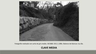 Fotografía realizada con carta de gris medio. ISO:800. f/6.3, 1/80s. Balance de blancos: luz día.
CLAVE MEDIA
 