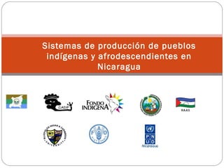  
Sistemas de producción de pueblos
indígenas y afrodescendientes en
Nicaragua
Avances al 15 de Agosto de 2013
Mesa del Buen Vivir en un Estado Multiétnico
y Pluricultural
Managua, Nicaragua
 