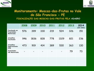 Monitoramento: Moscas-das-Frutas no Vale
do São Francisco - PE
2008 2009 2010 2011 2012 2013 2014
(até Junho)
Fiscalização em
Propriedades
Monitoradas
576 399 330 219 524 326 151
Armadilhas
Fiscalizadas 946 1836 828 778 1329 821 236
Armadilhas
Supervisionadas
(CQ)
473 919 414 389 530 363 130
Propriedades
Não Monitoradas - - - - - 79 73
FISCALIZAÇÃO DAS MOSCAS-DAS-FRUTAS PELA ADAGRO
 