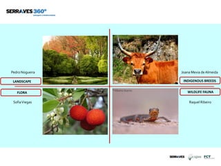 ©Albano Soares
Pedro Nogueira
SofiaViegas
INDIGENOUS BREEDSLANDSCAPE
WILDLIFE FAUNAFLORA
Joana Mexia de Almeida
Raquel Ribeiro
 