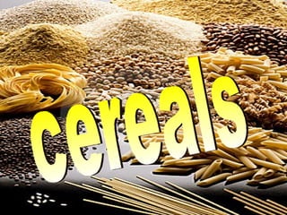 cereals 