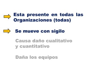 Nos visualizamos
En primera

YO persona

Y nuestra visión se circunscribe a…

 