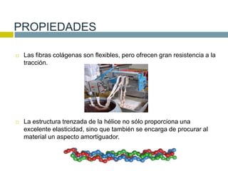  Las fibras colágenas son flexibles, pero ofrecen gran resistencia a la
tracción.
 La estructura trenzada de la hélice no sólo proporciona una
excelente elasticidad, sino que también se encarga de procurar al
material un aspecto amortiguador.
PROPIEDADES
 