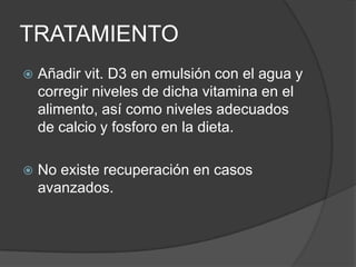 TRATAMIENTO
   Añadir vit. D3 en emulsión con el agua y
    corregir niveles de dicha vitamina en el
    alimento, así como niveles adecuados
    de calcio y fosforo en la dieta.

   No existe recuperación en casos
    avanzados.
 